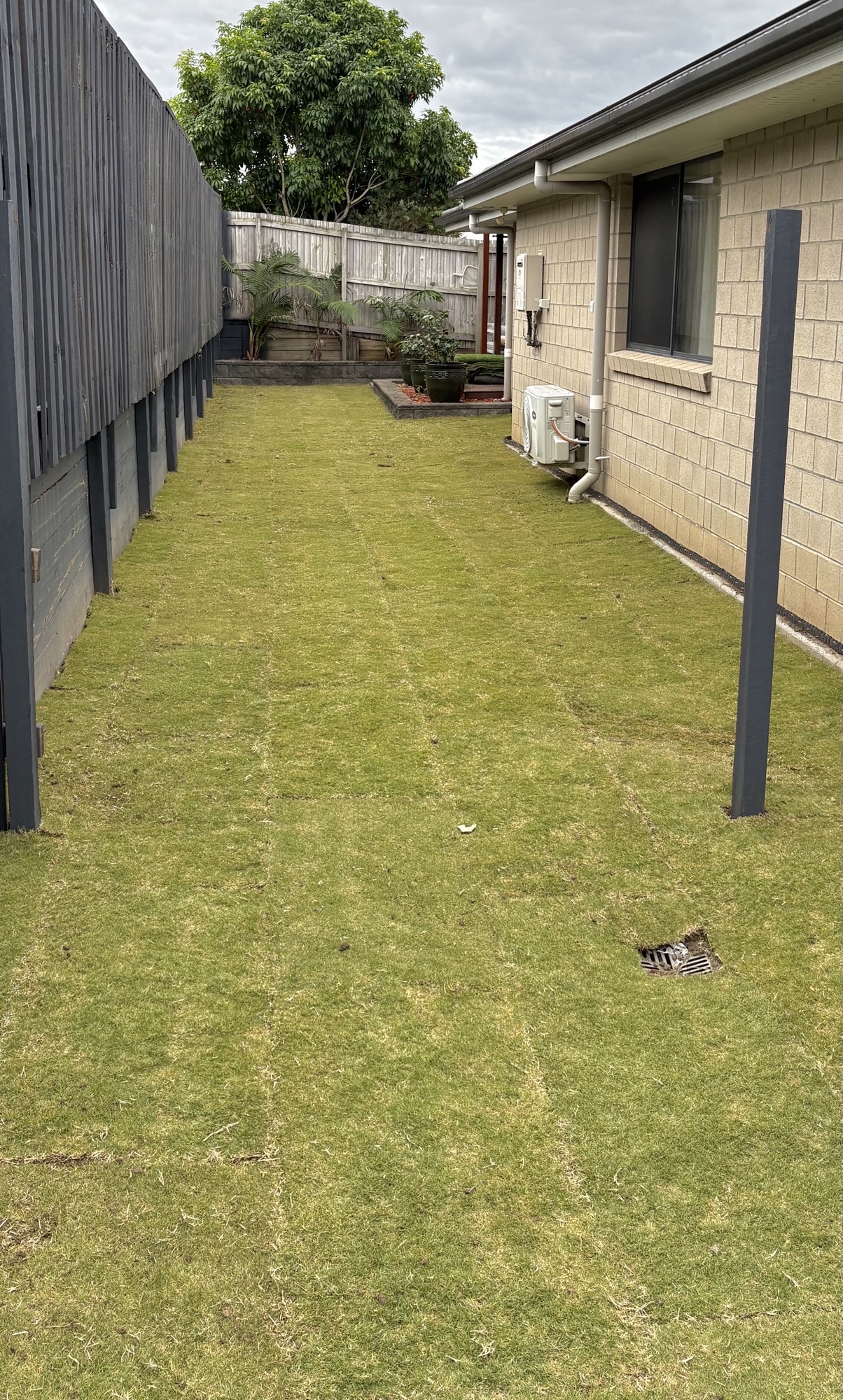 Wintergreen Couch installation at Ipswich, QLD